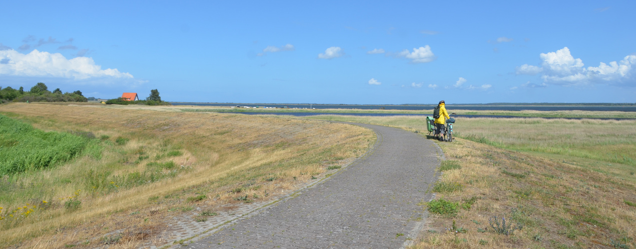 Sommer 2023 Hiddensee 