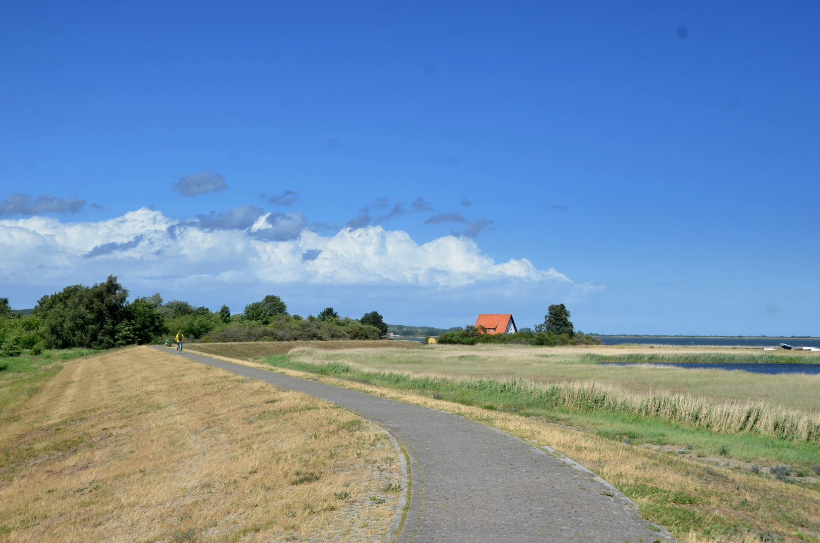 Sommer 2023 Hiddensee 