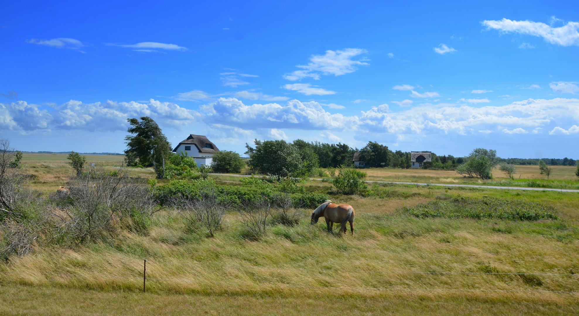 Sommer 2023 Hiddensee 