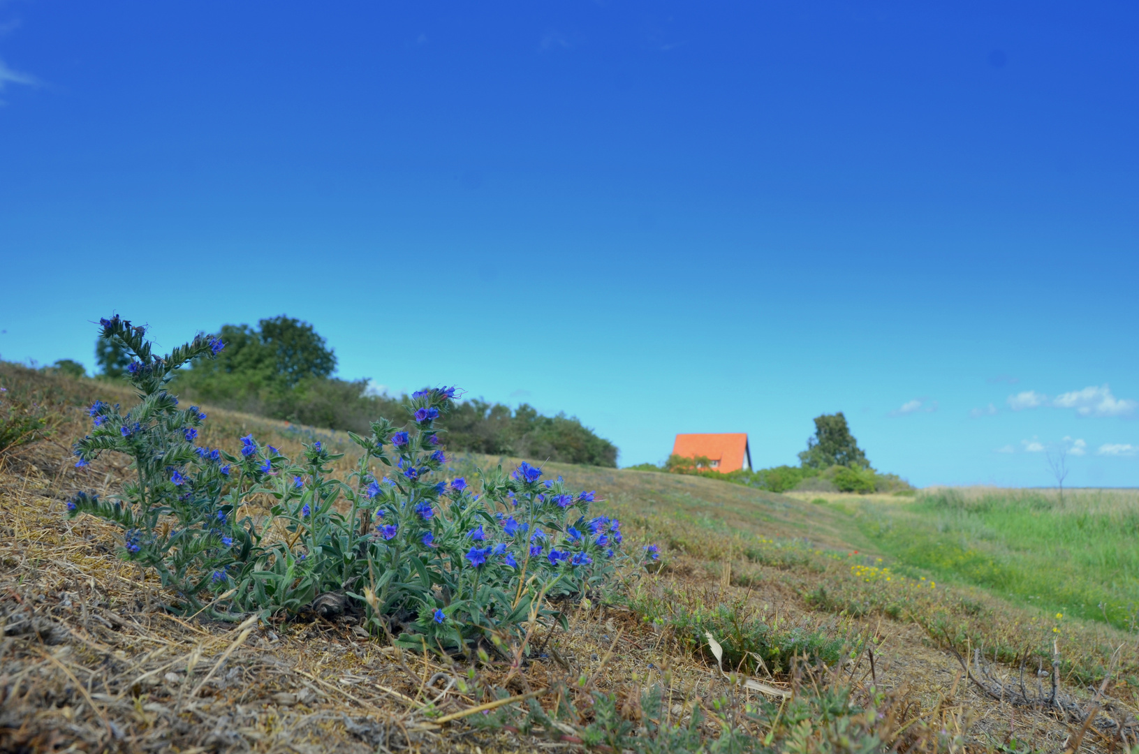 Sommer 2023 Hiddensee 