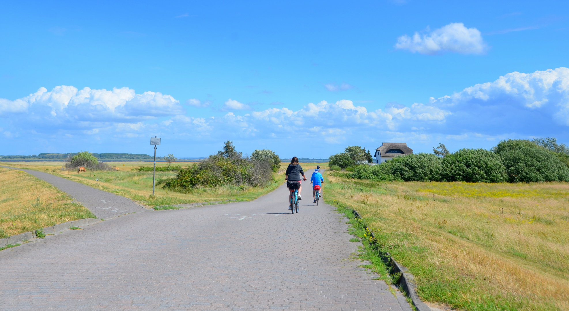 Sommer 2023 Hiddensee 