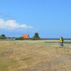 Sommer 2023 Hiddensee 