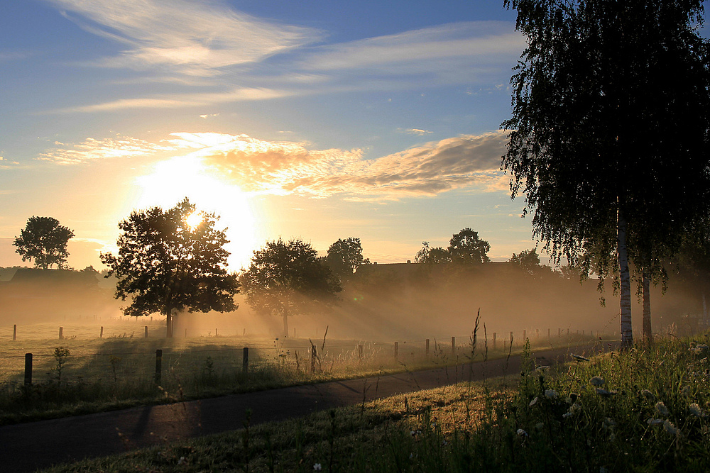 Sommer