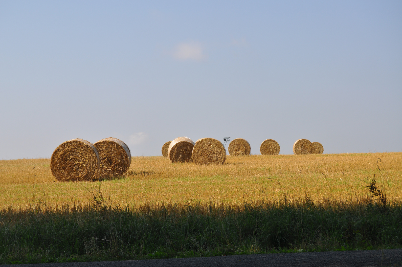 Sommer