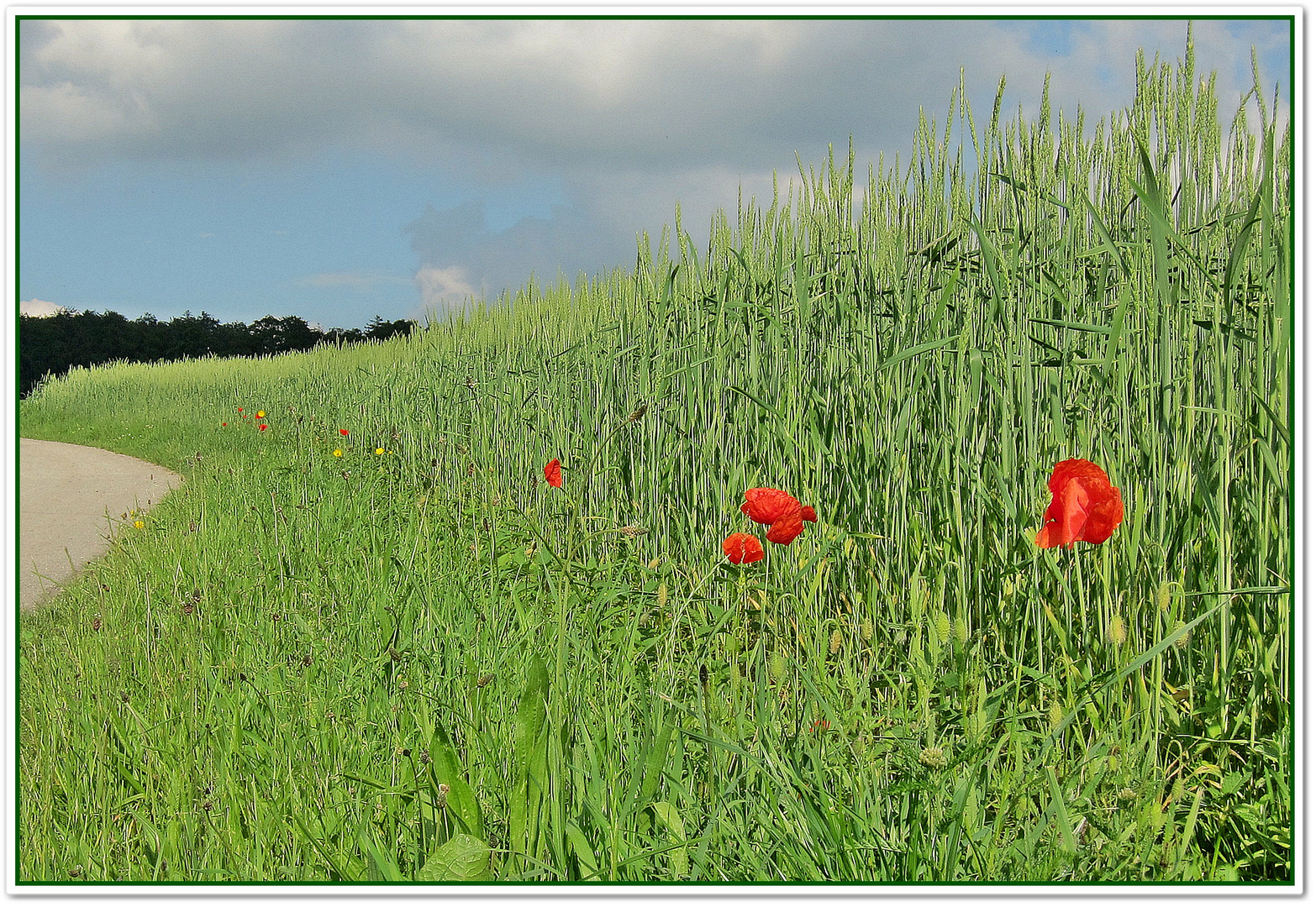 Sommer