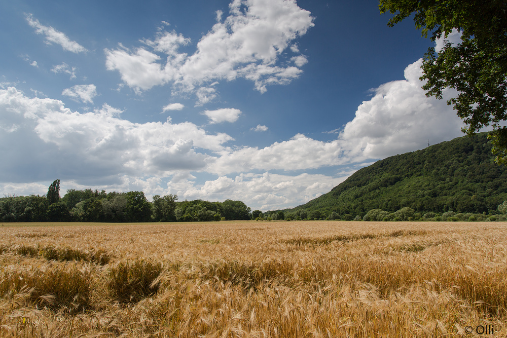 Sommer