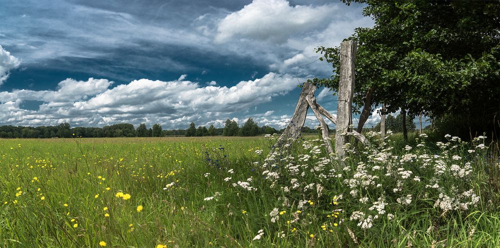 Sommer