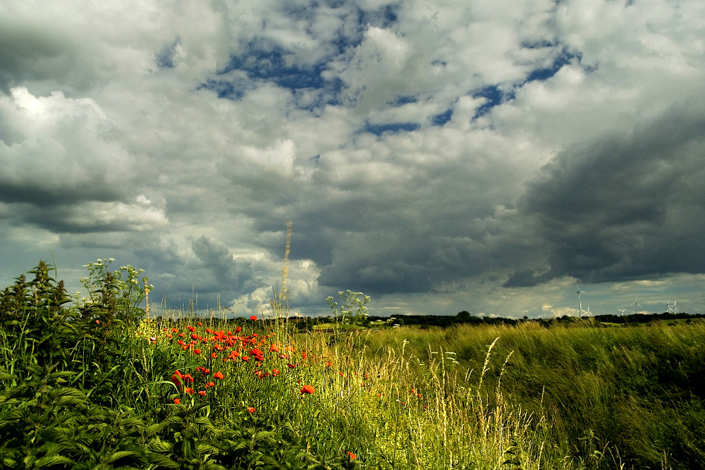 SOMMER