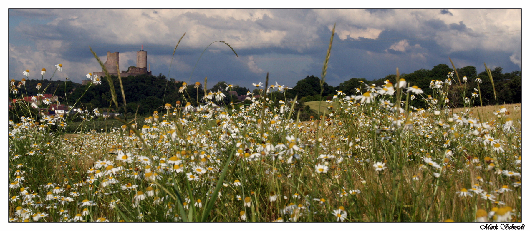 Sommer