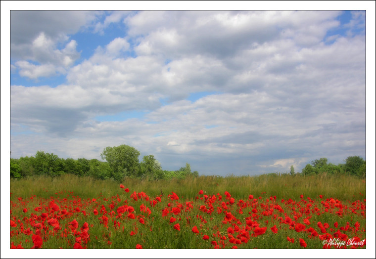 ...Sommer...