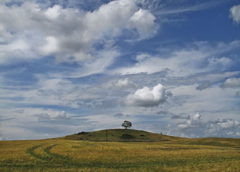 Sommer von hansp 