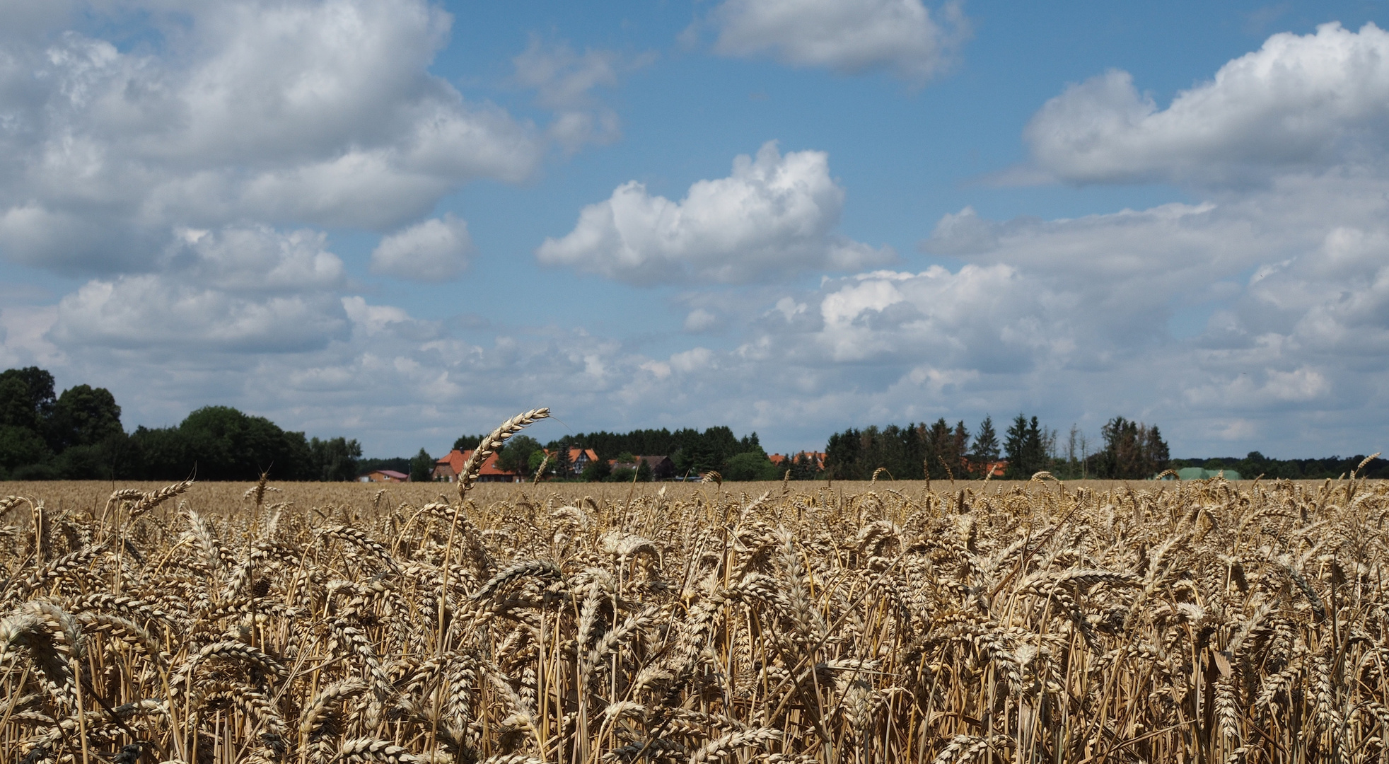 Sommer