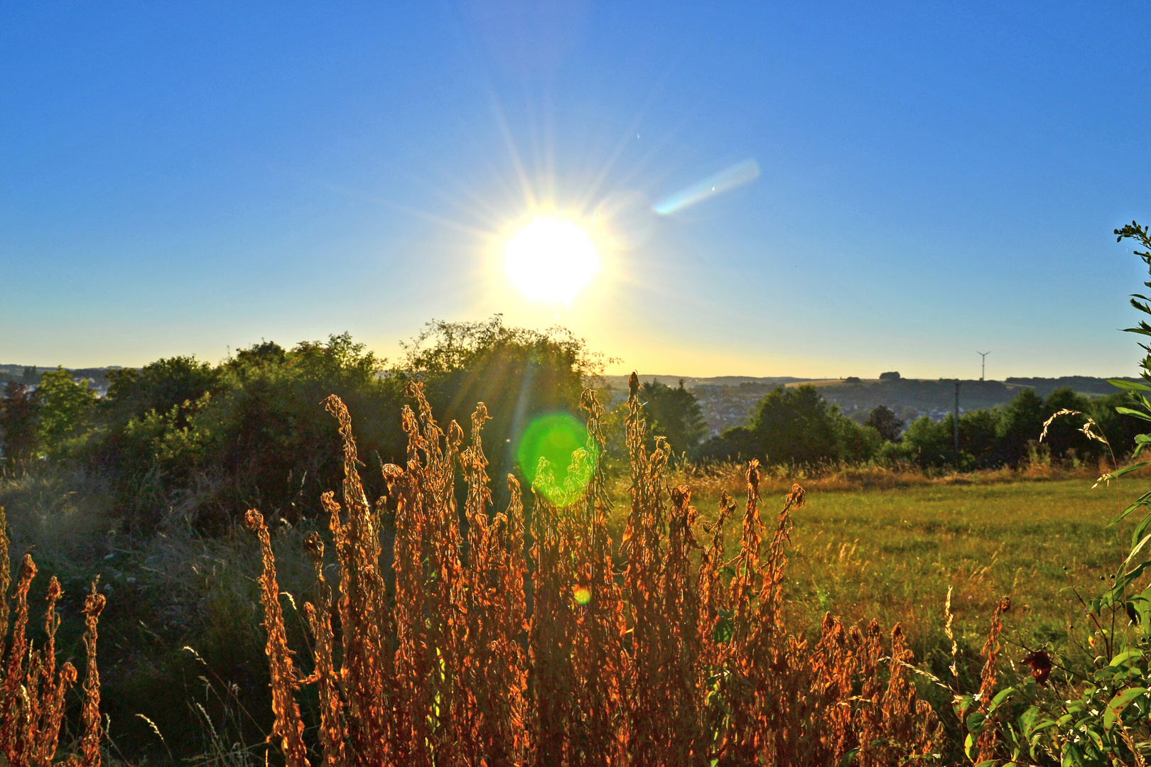 Sommer :)