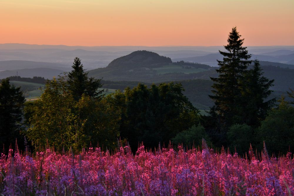 SOMMER - ABEND