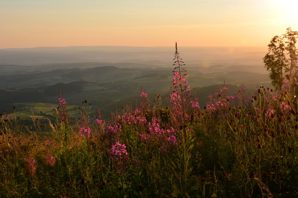 SOMMER - ABEND