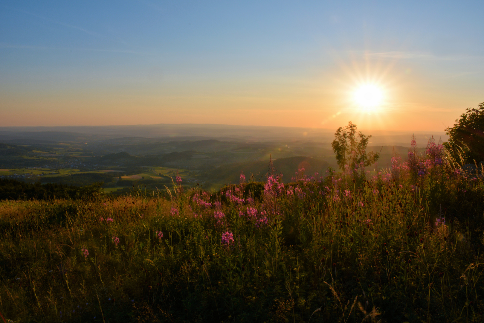 SOMMER - ABEND