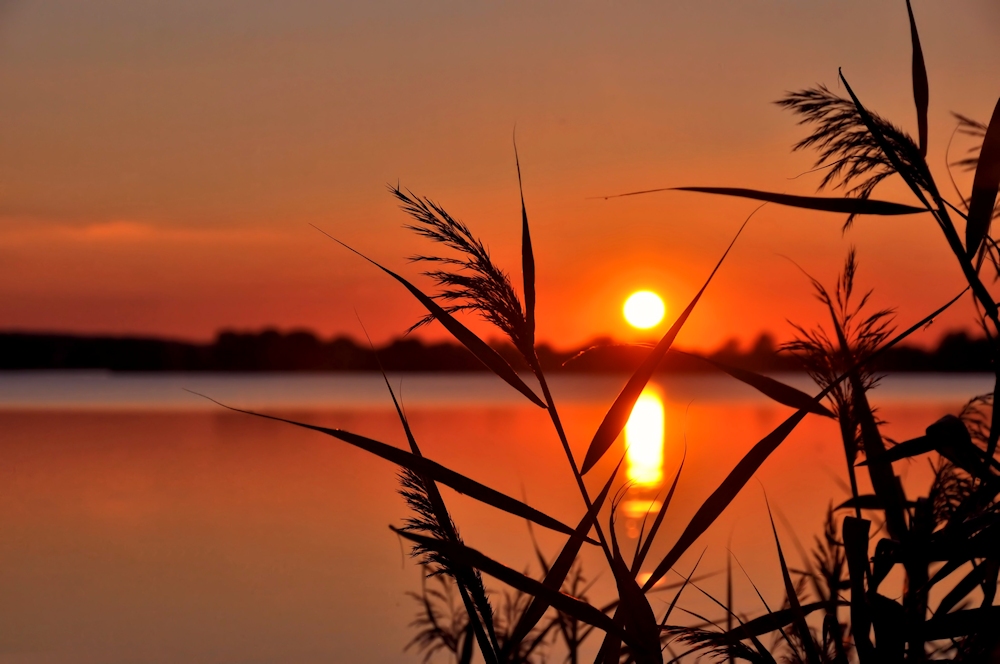 SOMMER - ABEND