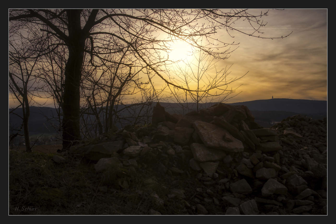 Sommer Abend am Wald