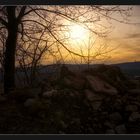 Sommer Abend am Wald