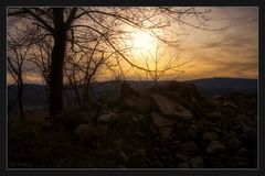 Sommer Abend am Wald