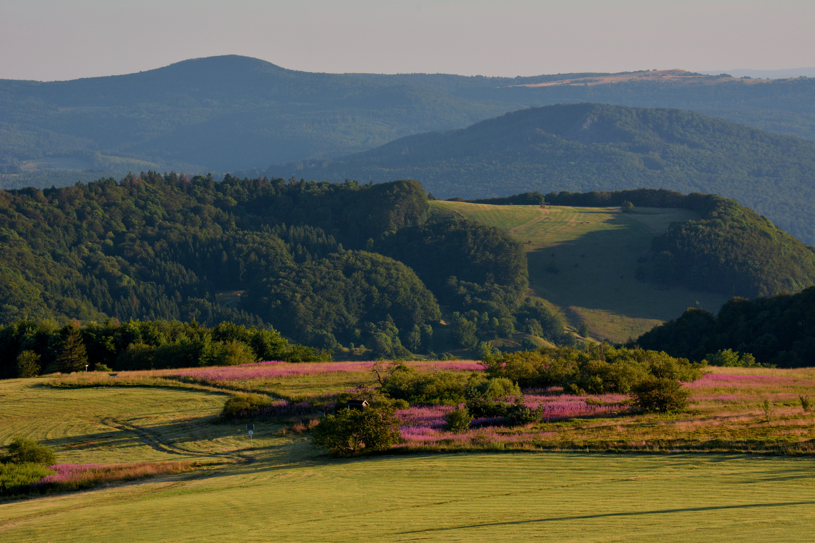 SOMMER - ABEND