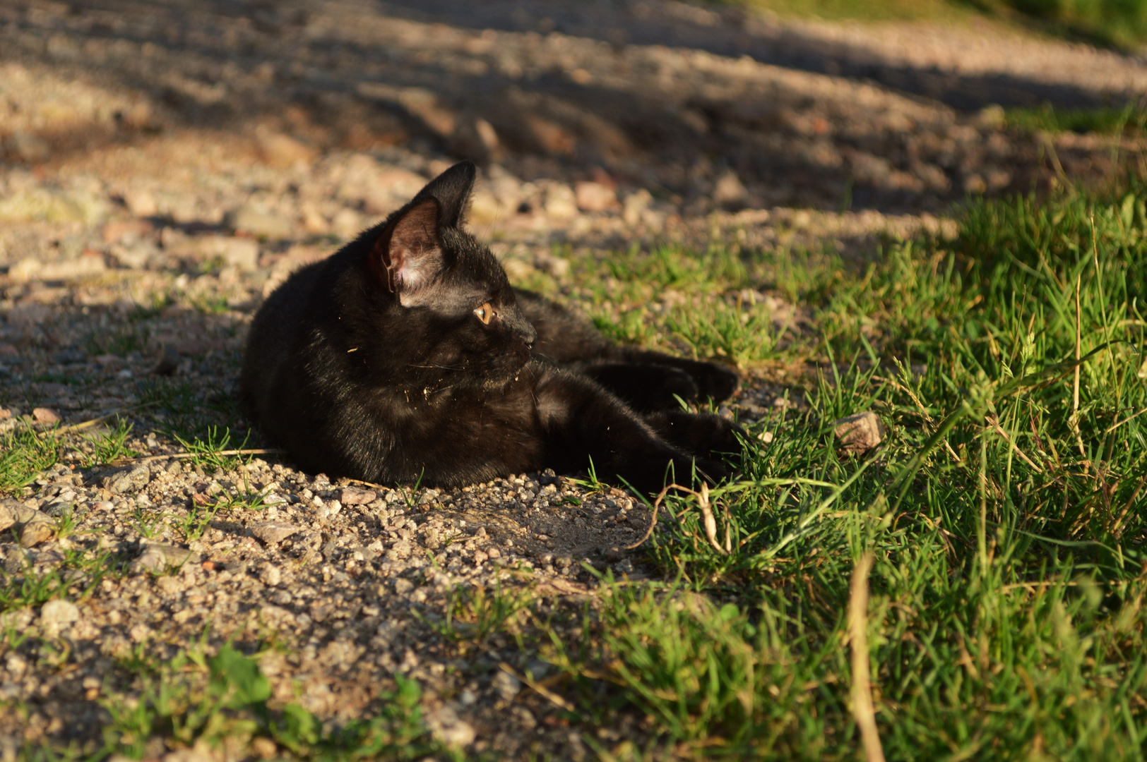 Sommer-Abend