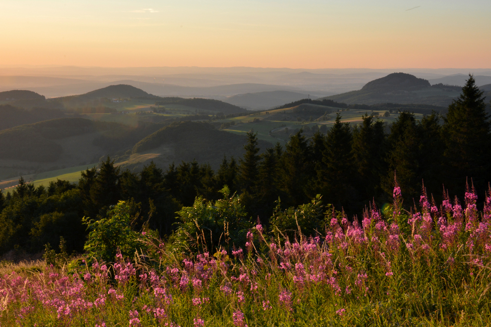 SOMMER - ABEND