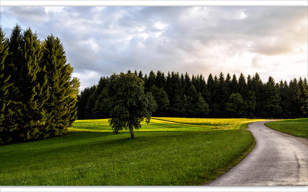 Sommer ade Foto & Bild landschaft, natur Bilder auf