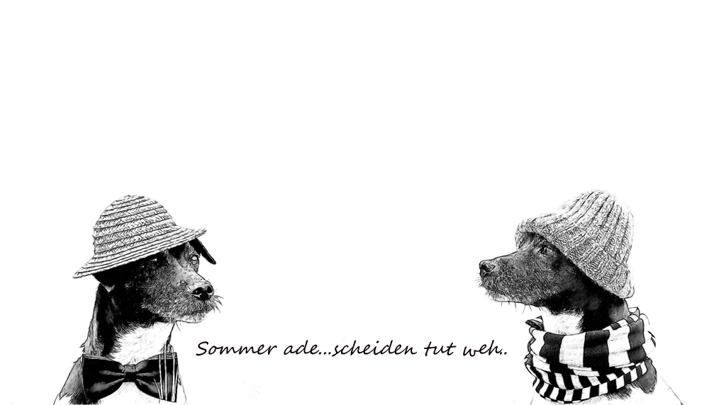 Sommer ade... Foto & Bild jahreszeiten, einfach nur jake, natur