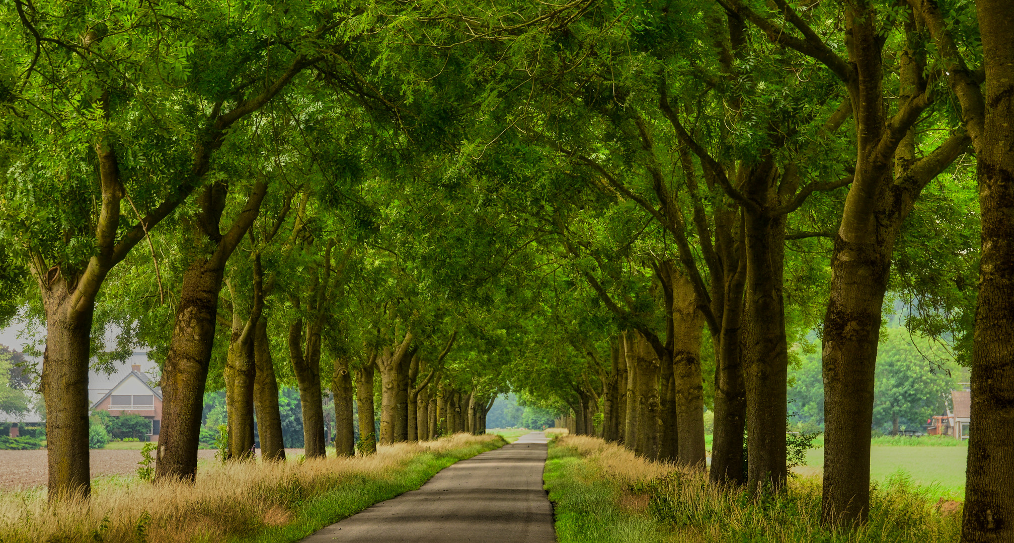 Sommer- Allee 