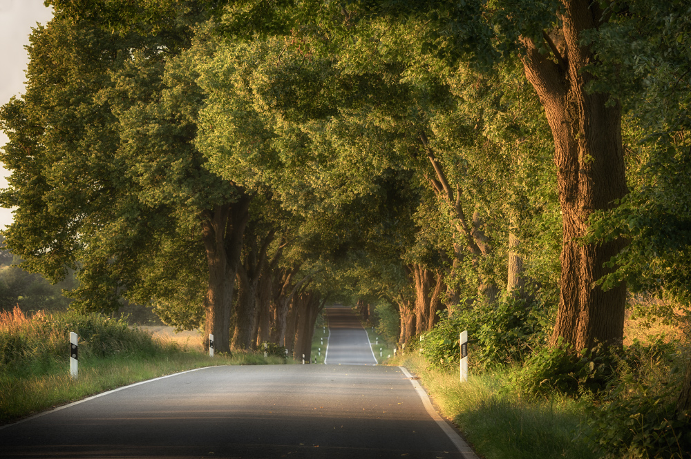 Sommer-Allee