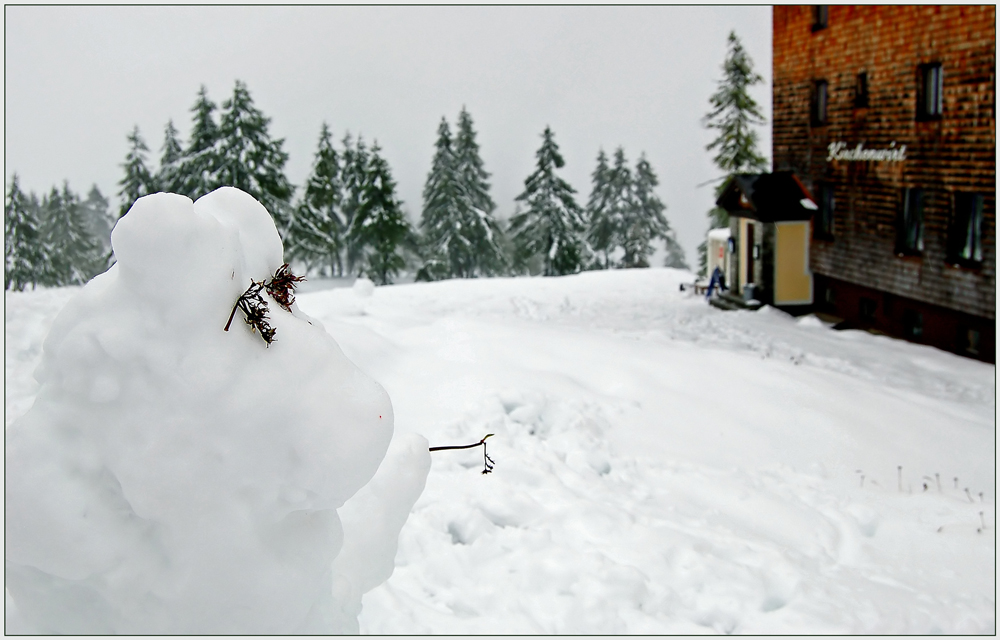 Sommer - Alm - Schneemann