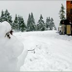 Sommer - Alm - Schneemann