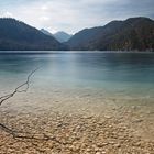 Sommer am Alpsee