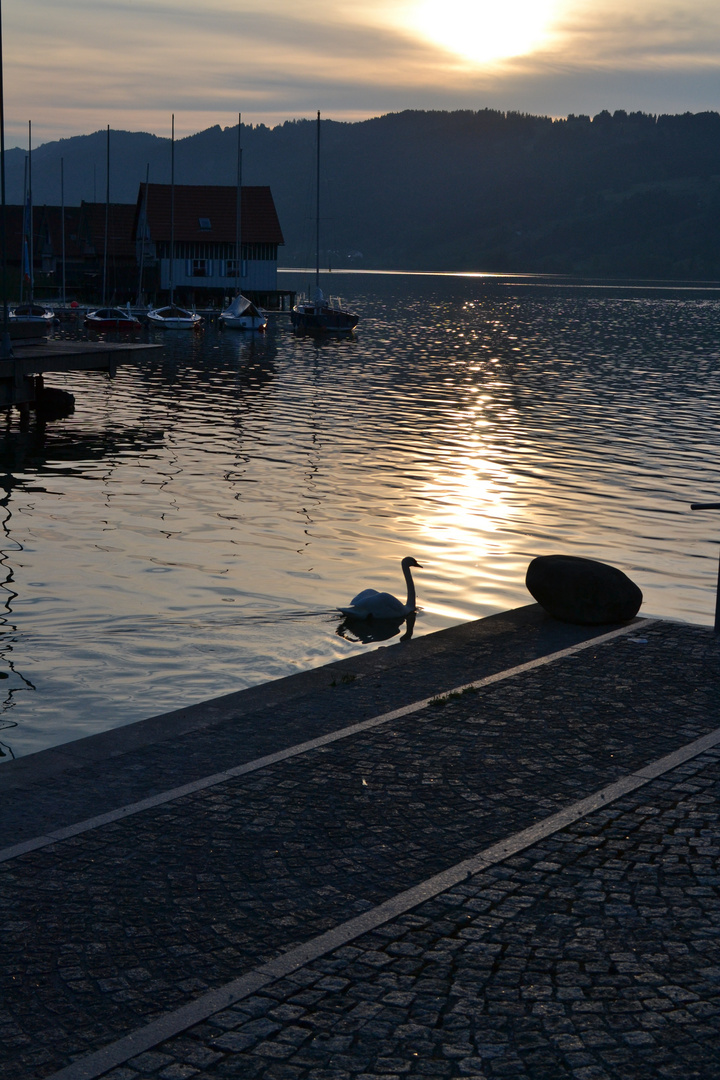 Sommer am Alpsee bei Immenstadt