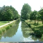 Sommer am alten Kanal