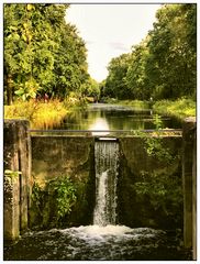 Sommer am Alten Kanal