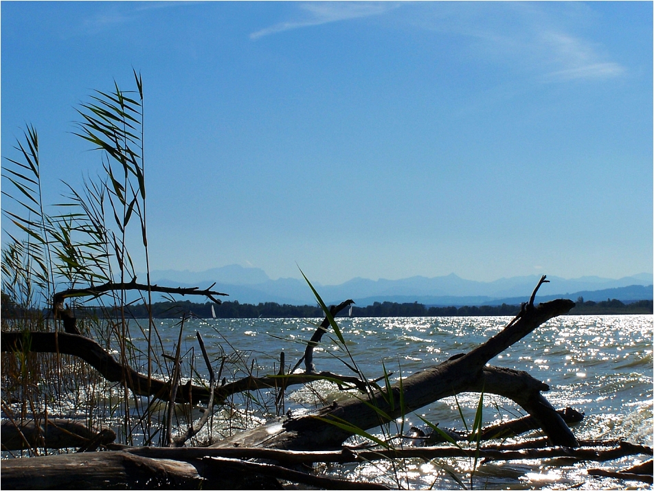 Sommer am Ammersee