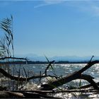 Sommer am Ammersee