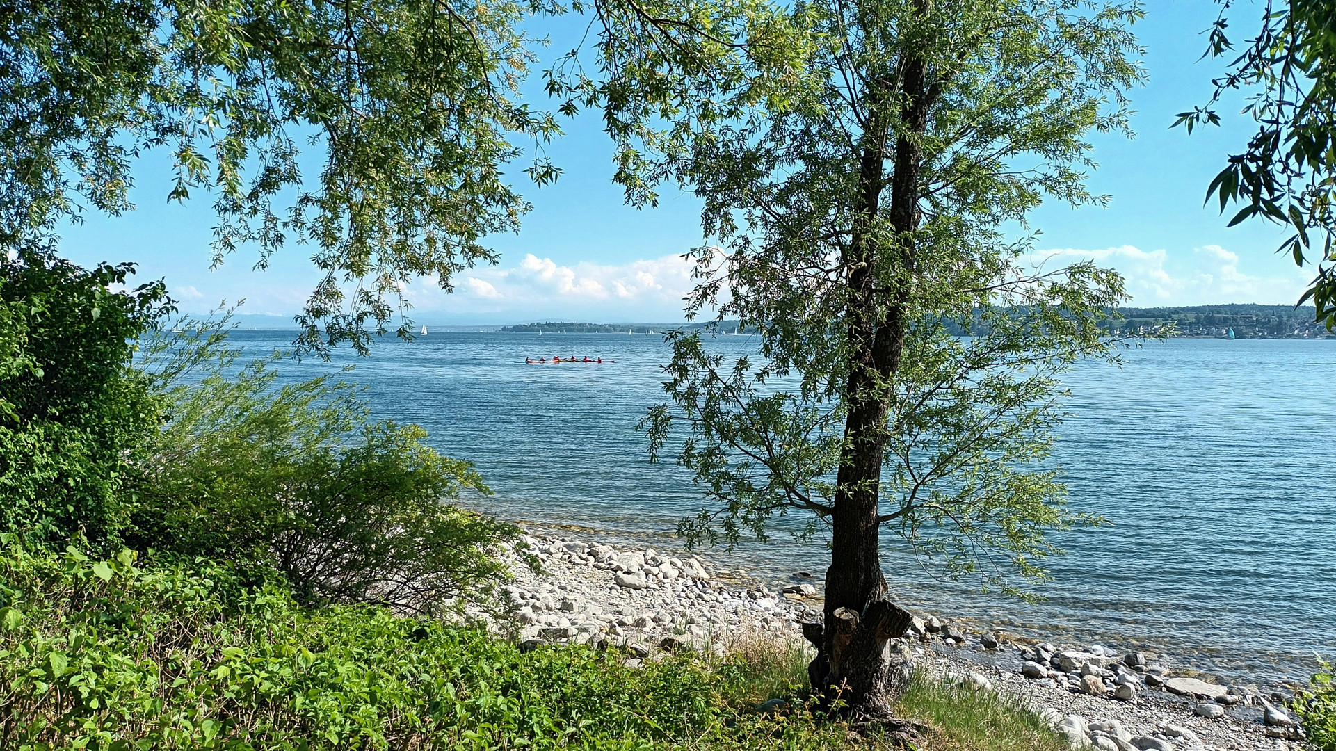 SOMMER    am    B O D E N S E E   .   .   .