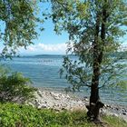 SOMMER    am    B O D E N S E E   .   .   .