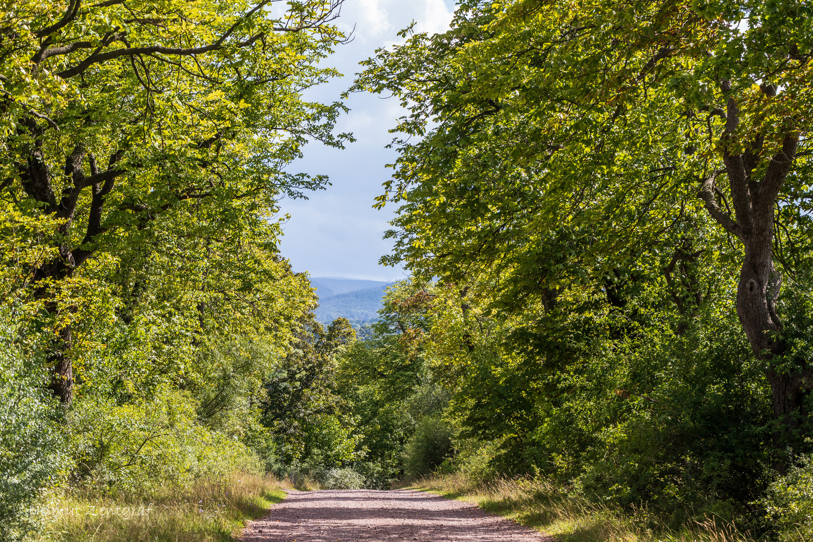 Sommer am Bachradweg um Ohrdruf