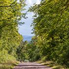 Sommer am Bachradweg um Ohrdruf