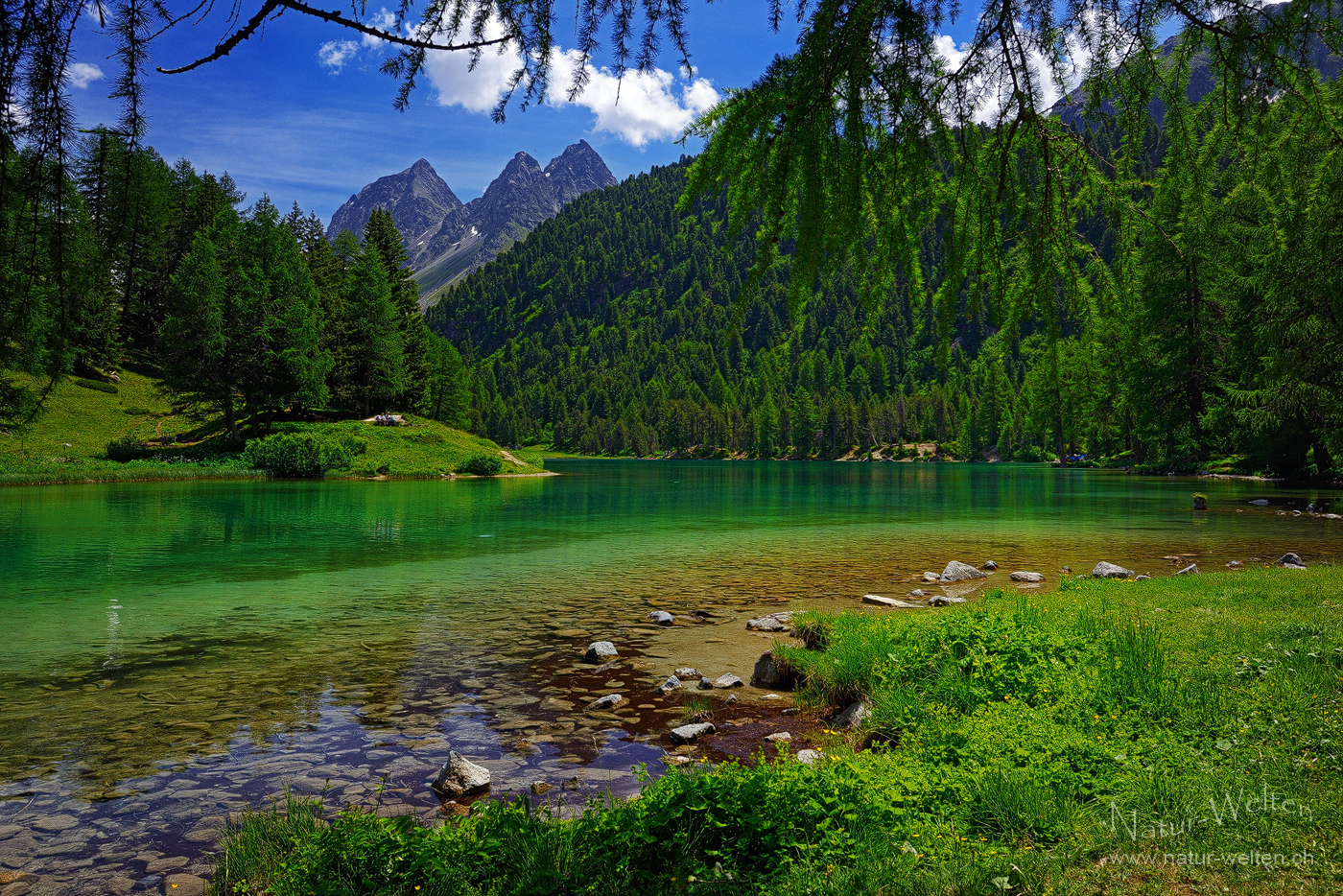 Sommer am Bergsee