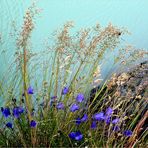 Sommer am Bergsee