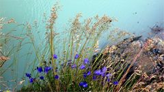 Sommer am Bergsee