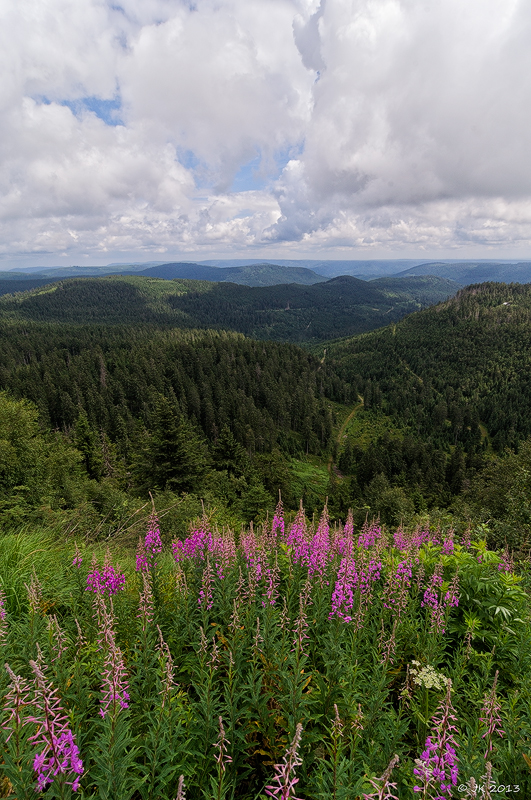 Sommer am Biberkessel