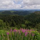 Sommer am Biberkessel