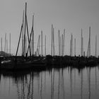 Sommer am Bielersee