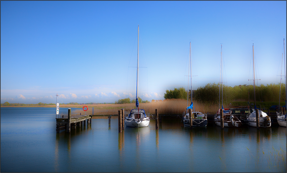 Sommer am Bodden